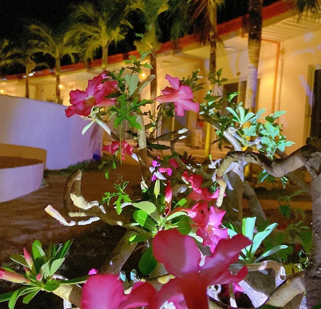 Green Mango Resort Danao  Hotel